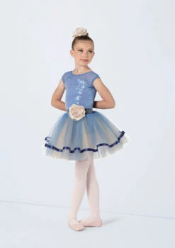 Weissman Ballerina, Ballerina -Dance Costumes 14401 periwinkle 41591 76118.1698817150