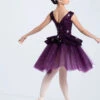 Weissman Introspective -Dance Costumes 14661 eggplant 6903 17718.1697693656