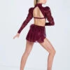Weissman Trouble 1 Weissman Trouble -Dance Costumes D12666 blackcherry 063 60913.1692925129