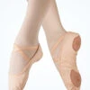 Tendu Split Sole Vegan Stretch Canvas Ballet Shoe -Dance Costumes tetvp pnk main 1 89253.1678886565